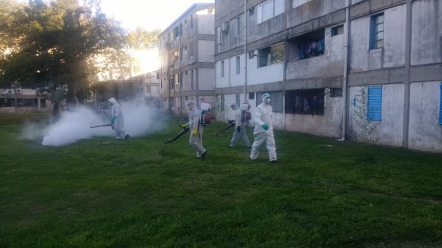 En solo tres días se duplicó la cantidad de casos de dengue en Casilda