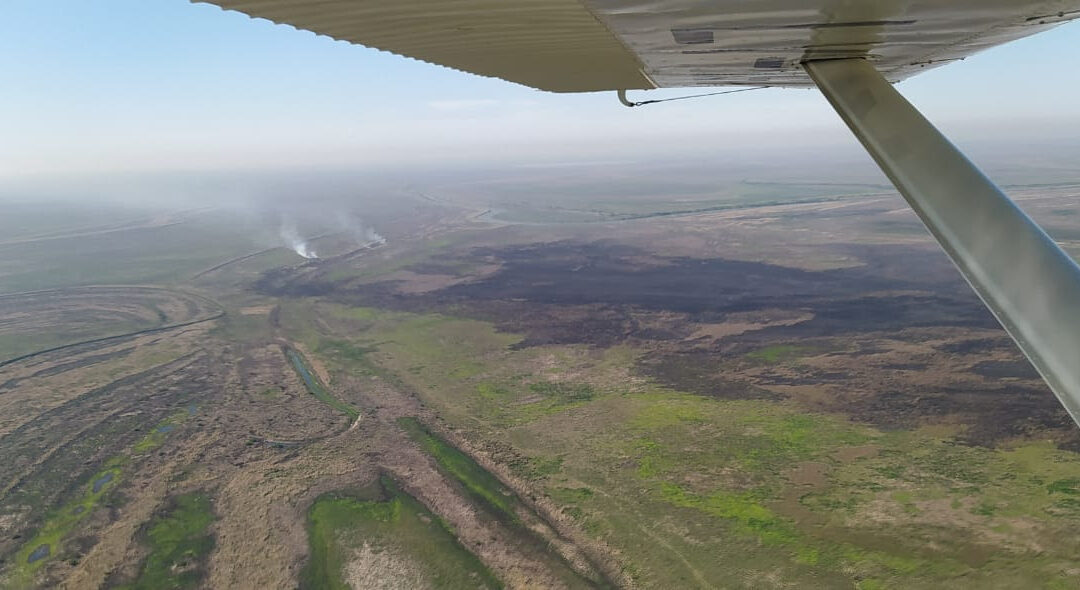 La provincia evalúa focos de incendios en el Delta del Paraná