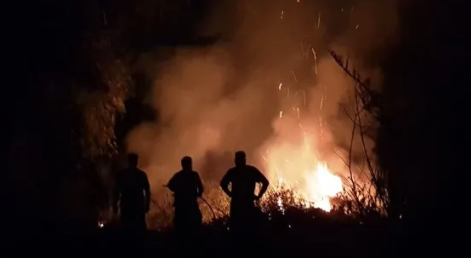 Quemas en las islas: el intendente de Victoria pidió «una tarea articulada» para prevenir los incendios