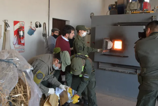 Por primera vez, quemaron 84 kilos de estupefacientes en el crematorio municipal de Venado Tuerto