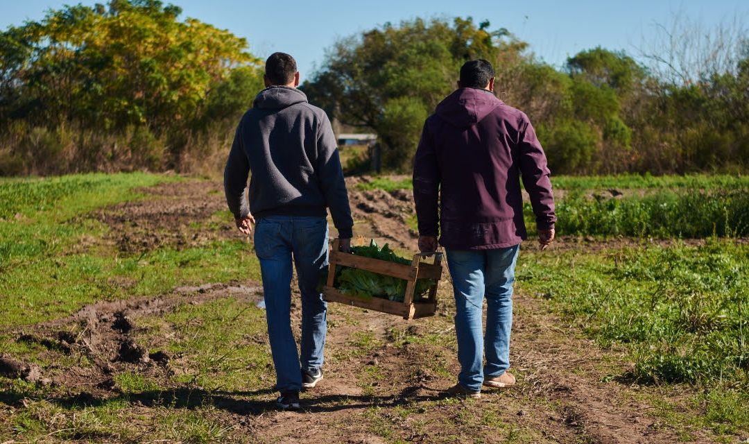     Se prorrogó hasta el 2 de octubre la inscripción al programa Módulos Productivos de la Agricultura Familiar