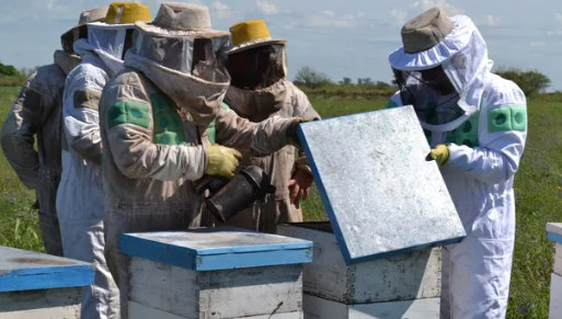 Apoyo crediticio para pequeños productores apícolas santafesinos