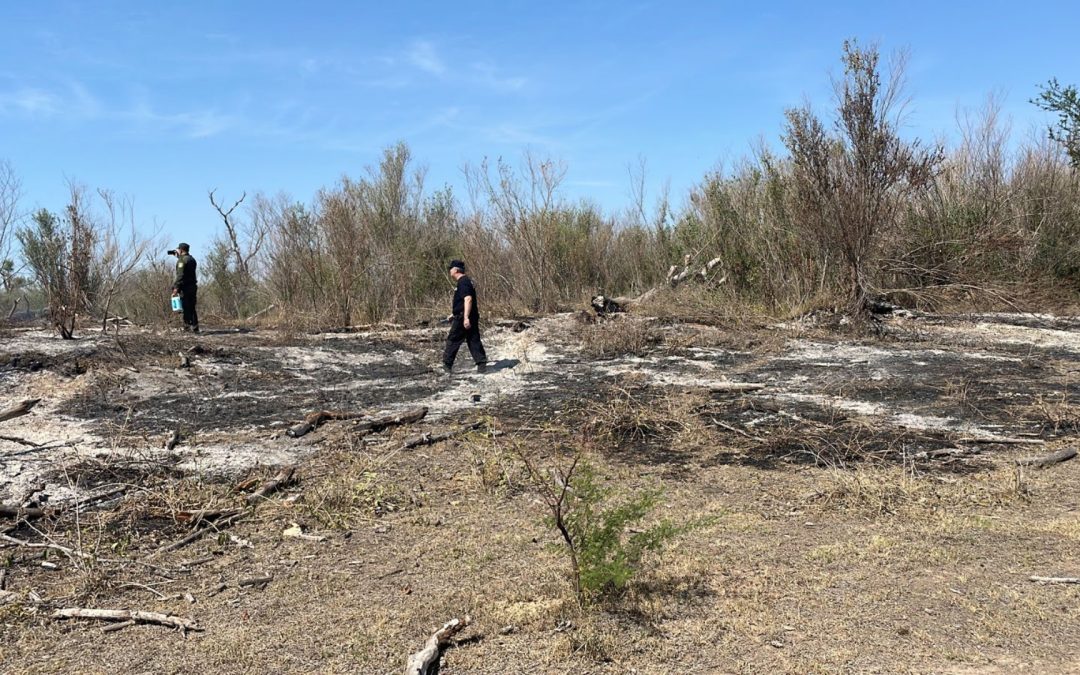 Incendios en el Delta: el gobierno de la provincia de Santa Fe trabaja frente a Capitán Bermúdez