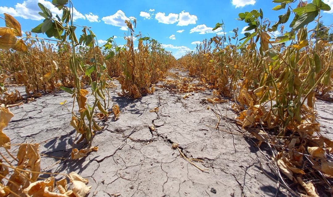 Emergencia Agropecuaria: La provincia inicia un operativo para asesorar a productores interesados en acceder a beneficios nacionales