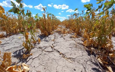 Emergencia Agropecuaria: La provincia inicia un operativo para asesorar a productores interesados en acceder a beneficios nacionales