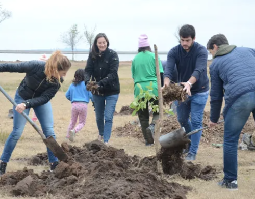 Venado Tuerto: vecinos realizaron una jornada de forestación en la laguna El Hinojo