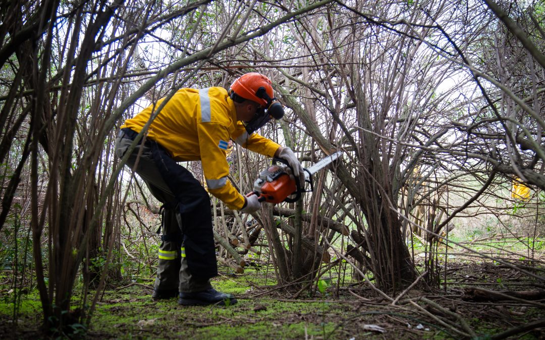 El gobierno de Santa Fe continúa desarrollando acciones para prevenir incendios en islas del sur provincial