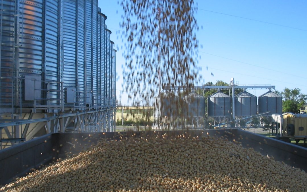 La Provincia de Santa Fe avanza en capacitaciones de operarios de poscosecha de granos almacenados