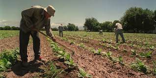 Santa Fe: RENATRE aumentó a $85.000 la prestación por desempleo para trabajadores rurales