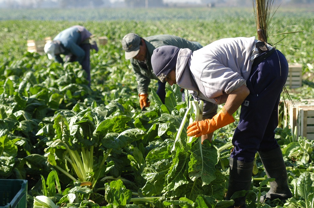 Santa Fe: Desde abril el RENATRE aumenta a 100 mil pesos la prestación por desempleo para trabajadores rurales