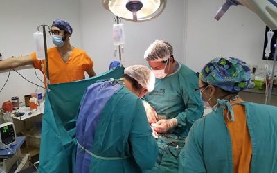 Cuatro donaciones de órganos en cinco días en la Provincia