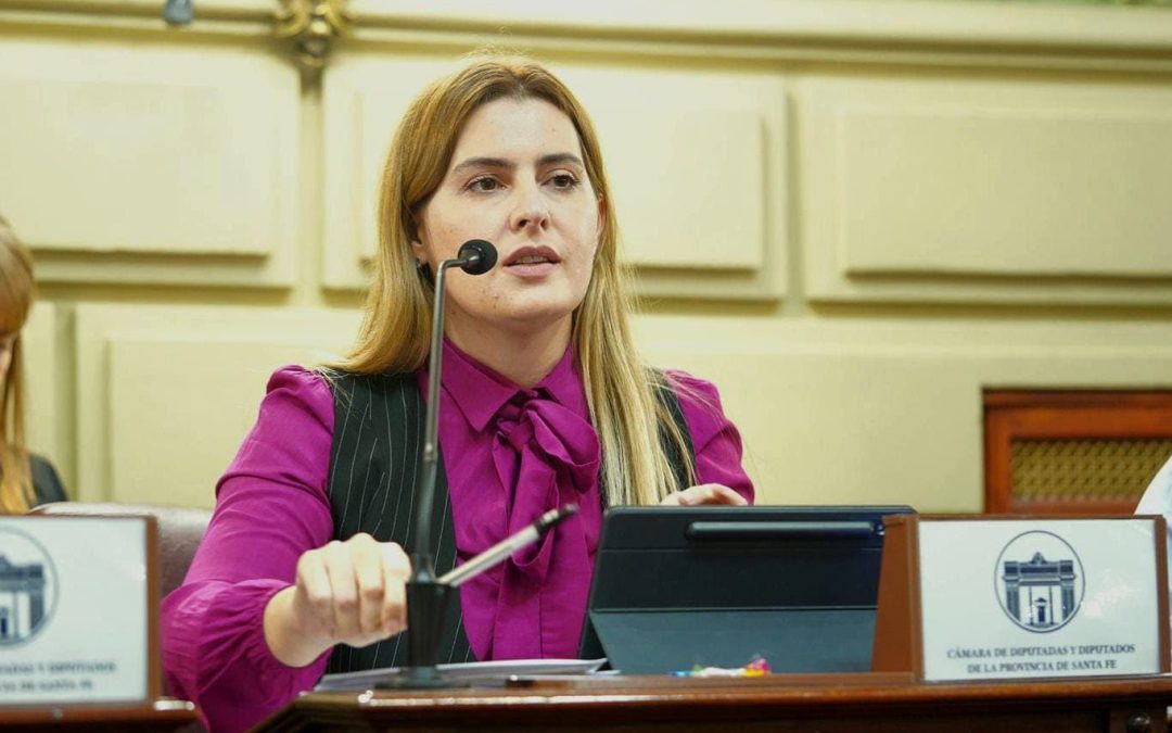 Proponen crear una plataforma para seguir en tiempo real las denuncias judiciales