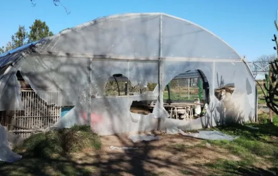 Vandalizaron en la madrugada del sábado la Escuela Agrotécnica de Caracarañá