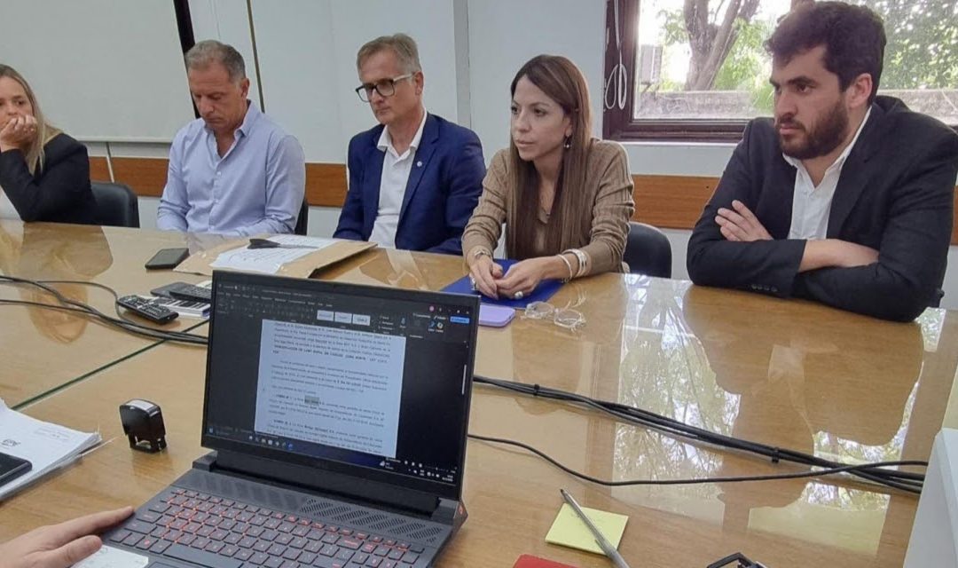 Provincia remodelará el cableado de Media Tensión en Casilda