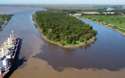 Apareció una gran mancha marrón en el río Paraná a la altura de San Pedro