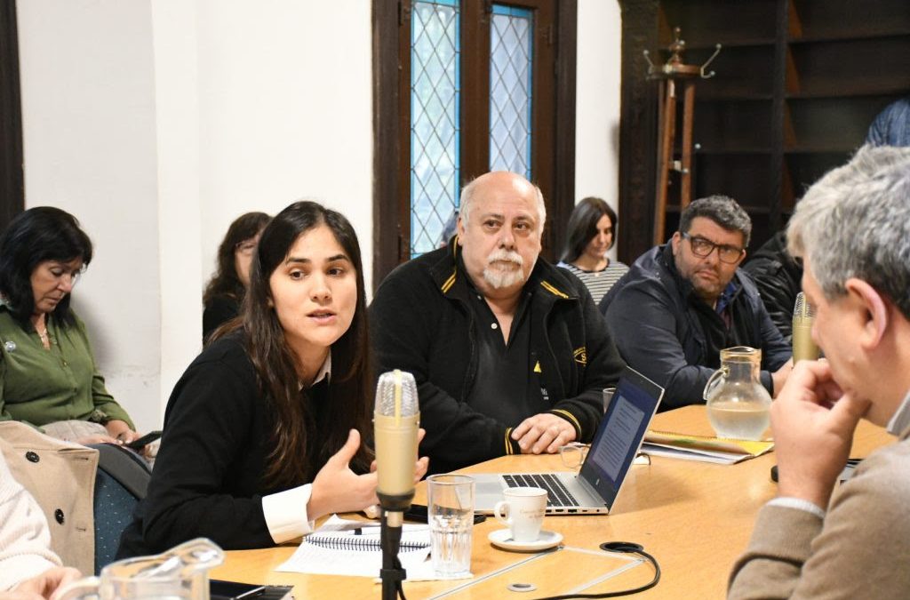 NUEVOS PROYECTOS PARA TAXIS