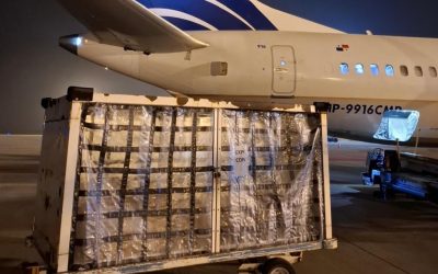 Desde Rosario ya se exporta carne y pescado por vía aérea: un hito logístico que posiciona al aeropuerto como plataforma internacional