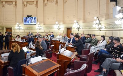 PROFUNDICEMOS EL RECLAMO.  LA CAJA DE JUBILACIONES DEBE SER INTRANSFERIBLE.