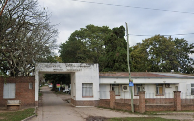 Tragedia en Santa Fe: un hombre murió atacado por un enjambre de abejas