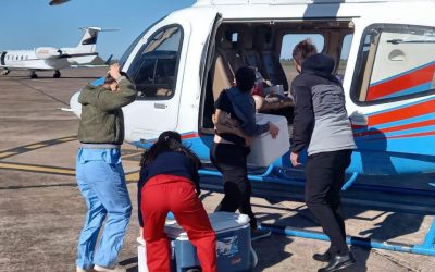 Provincia garantiza la logística para operativos de trasplante mientras se desarrollan las obras en el Aeropuerto Internacional de Rosario