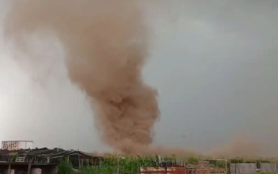 Tornado en Carcarañá: un impresionante remolino de viento desprendió árboles