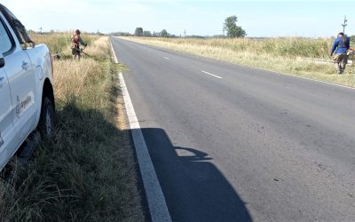 VIALIDAD NACIONAL EJECUTA EL CORTE DE PASTO Y DESMALEZADO DE LA RN 33