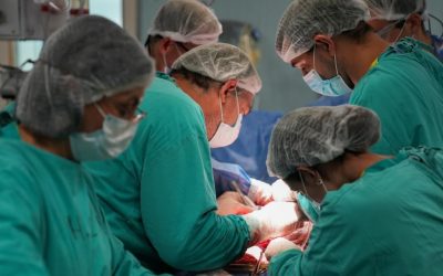 La Provincia de Santa Fe logró récords en donación y trasplante en 2025