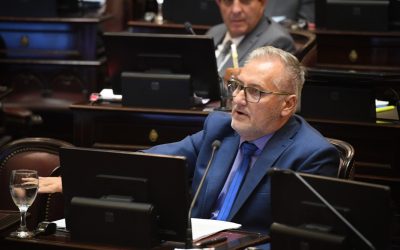 Lewandowski: «No hay ningún artículo de esta Ley que beneficie a los trabajadores»