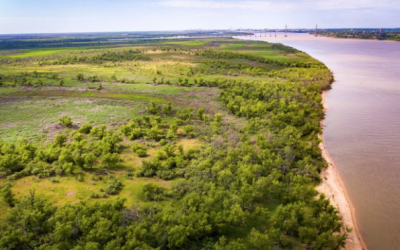 Granadero Baigorria. celebra el Día Mundial de los Humedales
